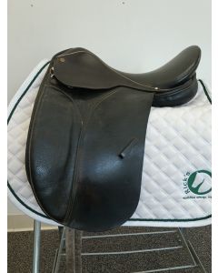 Collegiate Dressage 17" M