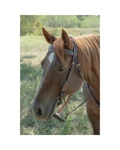 Circle Y Bronco Blue Texas Flower Browband Headstall