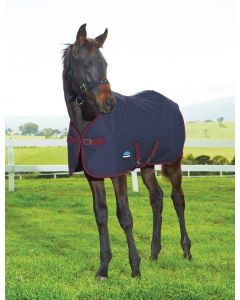 Weatherbeeta 1200D Foal Standard Neck 220G
