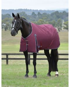 Weatherbeeta ComFiTec Essential Turnout Sheet 50G