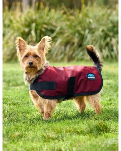 Weatherbeeta ComFiTec Classic Waterproof Dog Coat