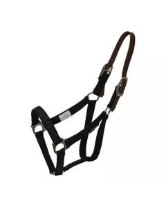 Thinline Turnout Halter for Grazing Muzzle