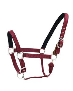 Centaur® Solid Cushion Padded Breakaway Halter