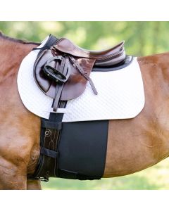 EquiFit BellyBand+™