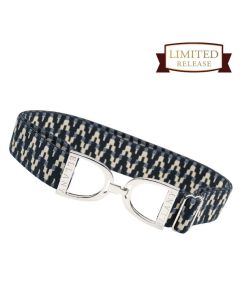 Ellany  1.5" Lantanas with Silver Stirrup Elastic Belt