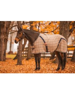 5/A Baker® Stable Sheet