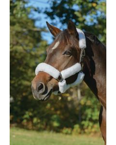 ARMA SupaFleece Halter Set 6 Piece
