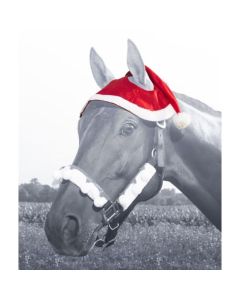 Santa Horse Hat