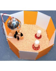 Baby Chick Starter Home