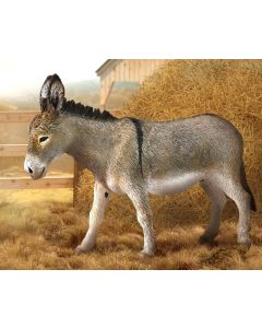Breyer #88934 CollectA Donkey