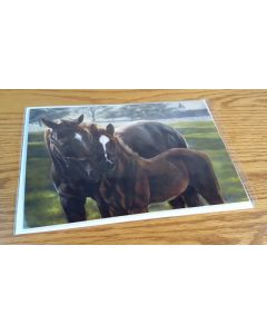 "Safe & Sound" Horse Note Card - Individual