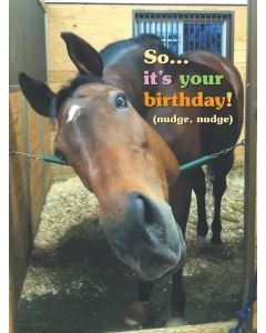 Birthday Card: So it's your birthday! (nudge, nudge.)
