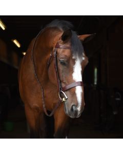 KL Select Foxwell Bridle