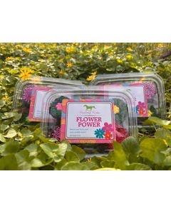 Canterbury Cookies Flower Power 24oz