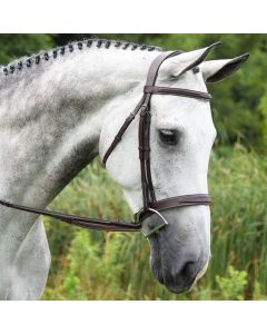 Red Barn Indio Bridle
