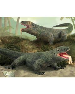 Breyer CollectA Komodo Dragon
