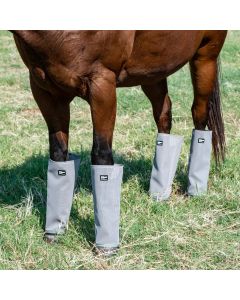 Cashel Crusader Leg Guards (Set of 4)