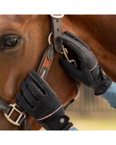 B Vertigo Rahel Thinsulate Winter Riding Gloves