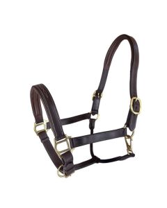 RHC Padded Leather Halter with Fancy Stitching