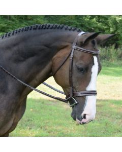 Red Barn Sonoma Bridle