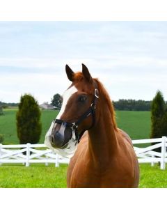 ThinLine Flexible Filly Slow Feed Grazing Muzzle