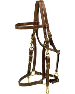 Tory Leather Oversize Halter/Bridle Combo