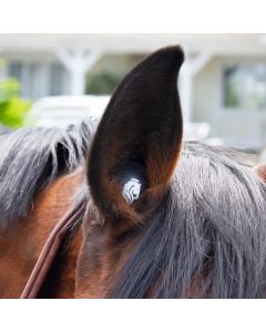Equinavia BudZ 3 Pairs Black Horse Size